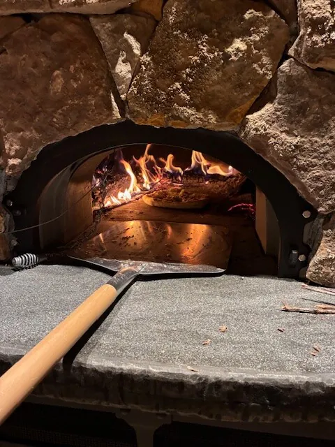 Wood-fired pizza oven