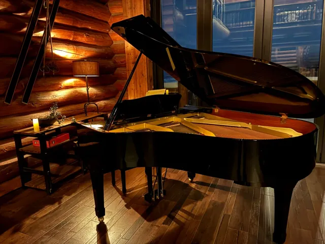 Grand piano in the great room