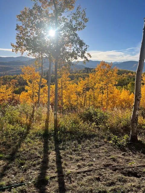 Autumn on the property
